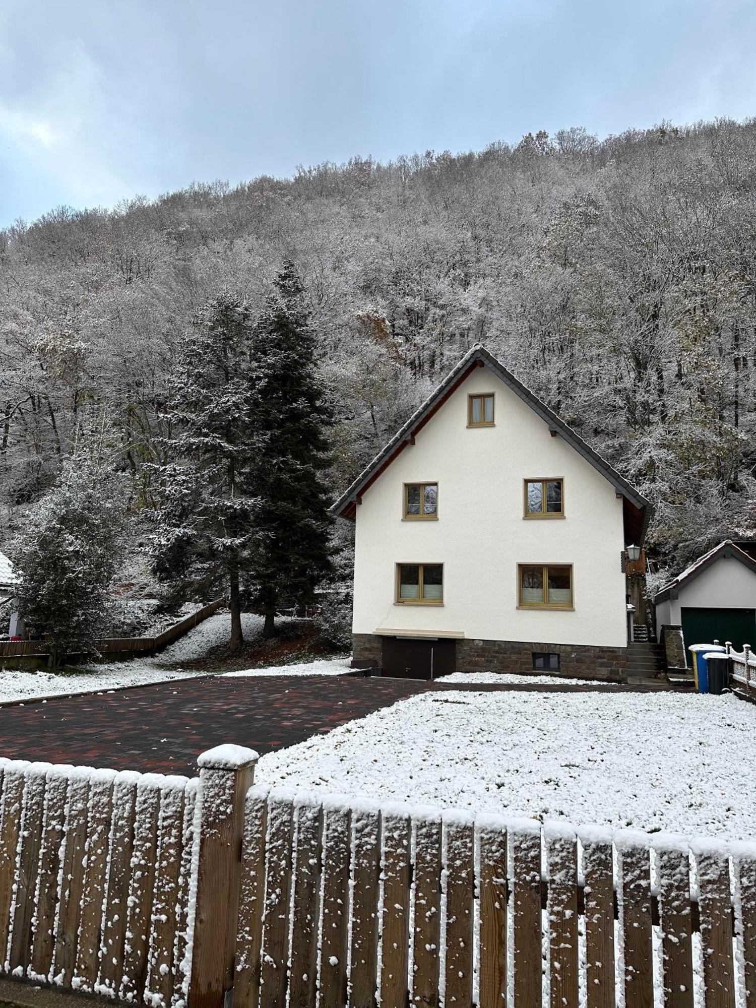 Ferienhaus Ginkgo Biloba Malsbenden Εξωτερικό φωτογραφία