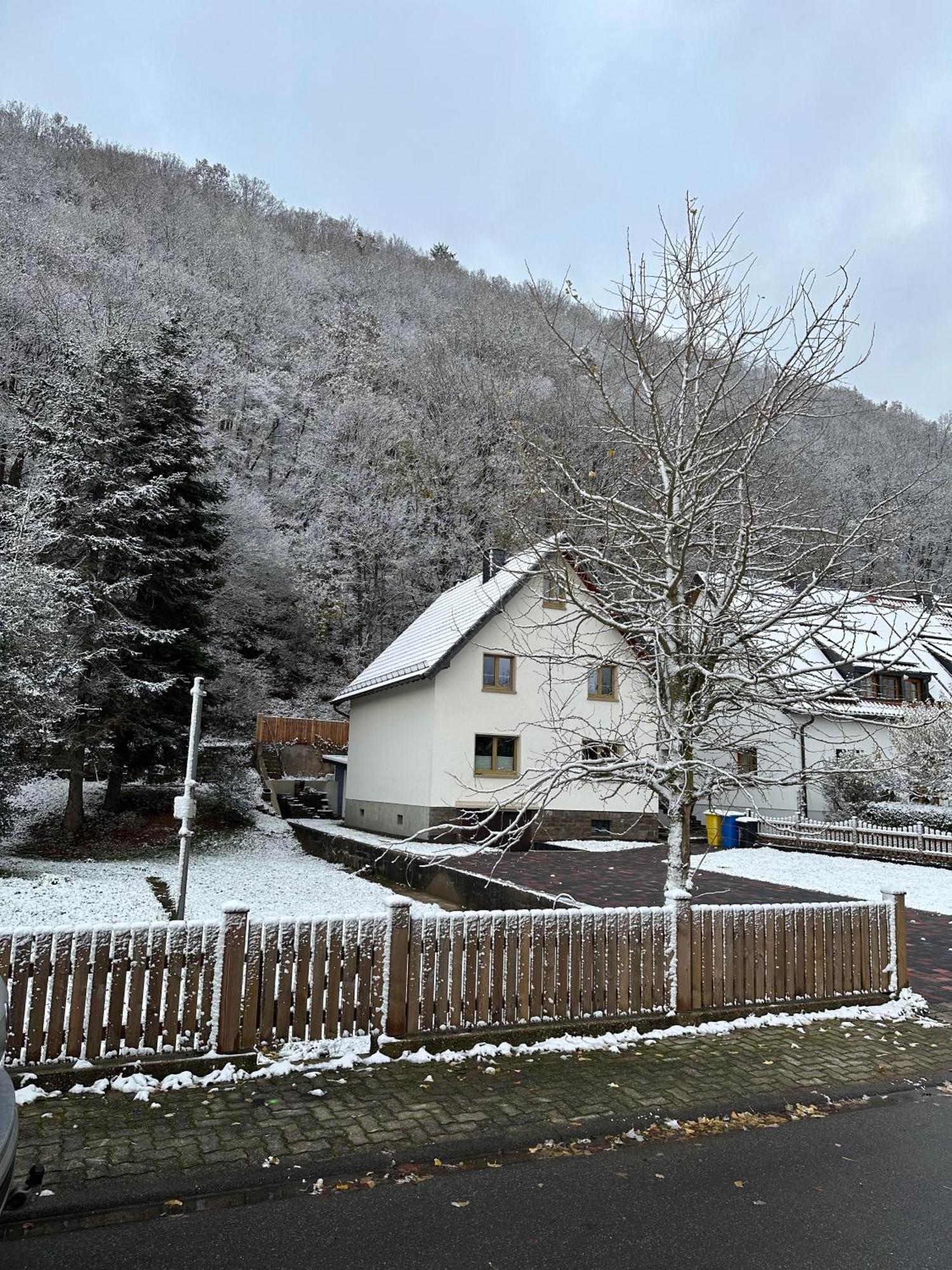 Ferienhaus Ginkgo Biloba Malsbenden Εξωτερικό φωτογραφία