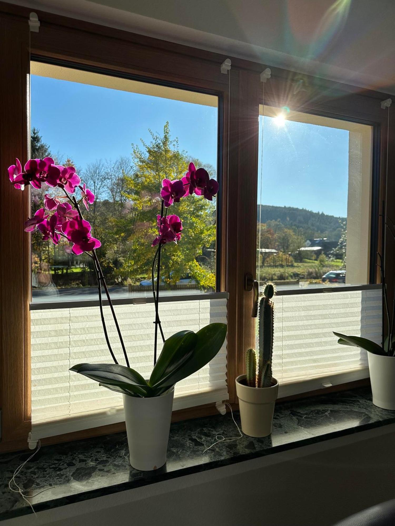 Ferienhaus Ginkgo Biloba Malsbenden Εξωτερικό φωτογραφία