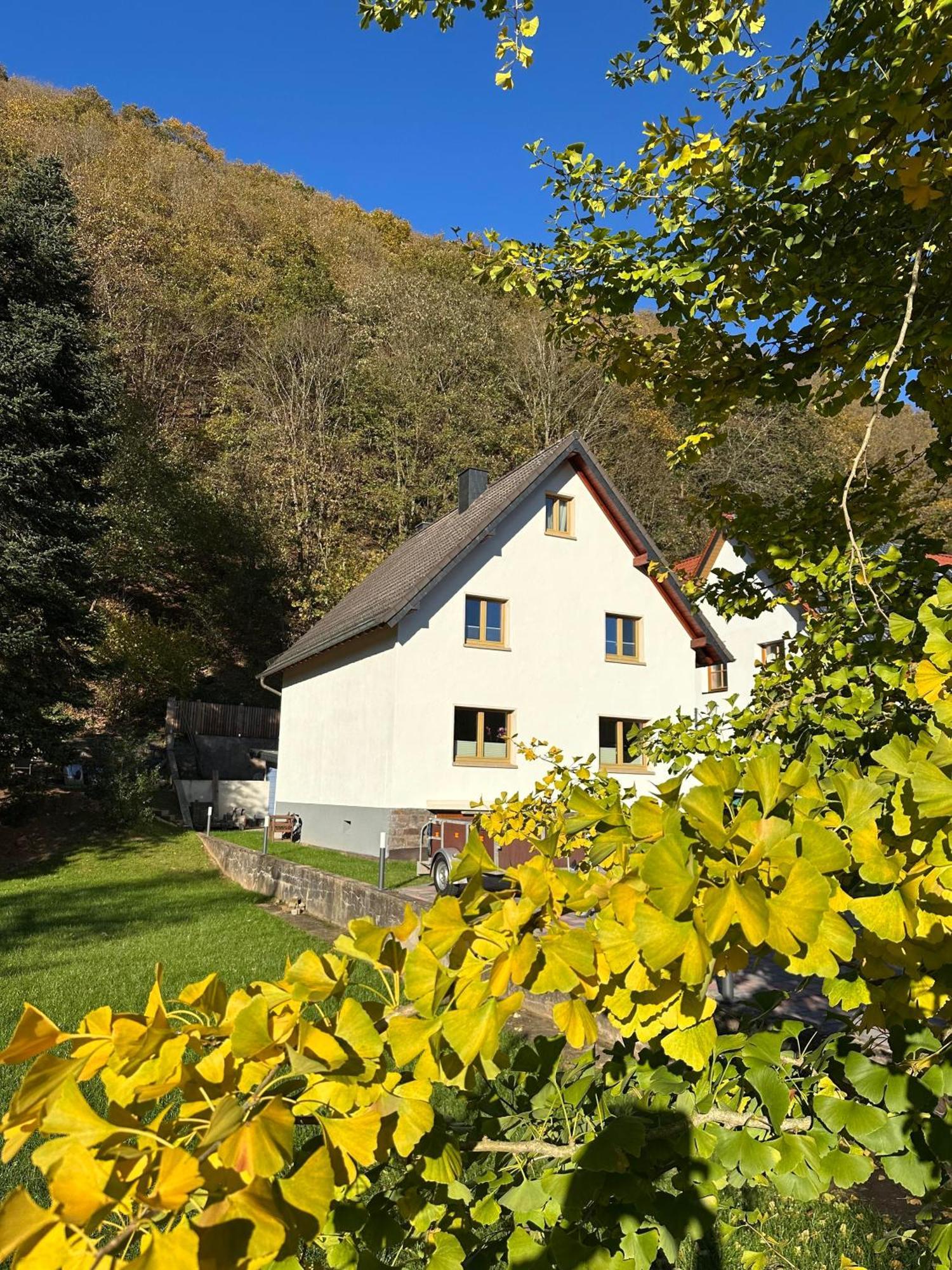 Ferienhaus Ginkgo Biloba Malsbenden Εξωτερικό φωτογραφία